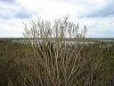 dsc00627